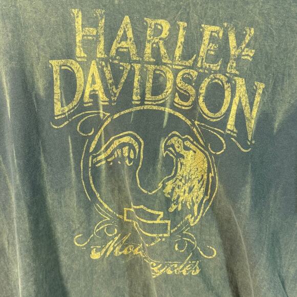 Harley-Davidson Ocala Florida Graphic T-Shirt Men’s L Distressed Green Tee - Picture 2 of 6